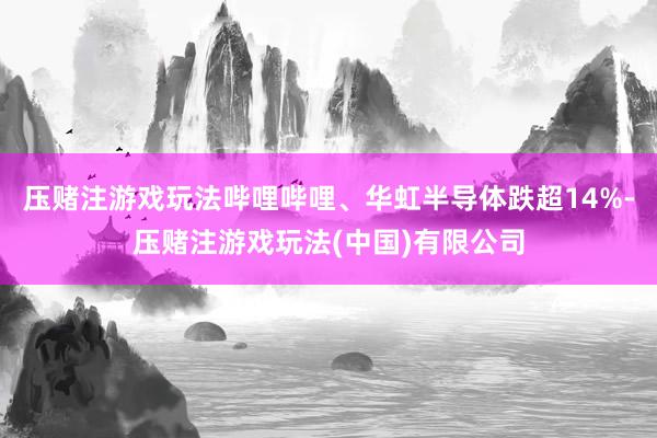 压赌注游戏玩法哔哩哔哩、华虹半导体跌超14%-压赌注游戏玩法(中国)有限公司
