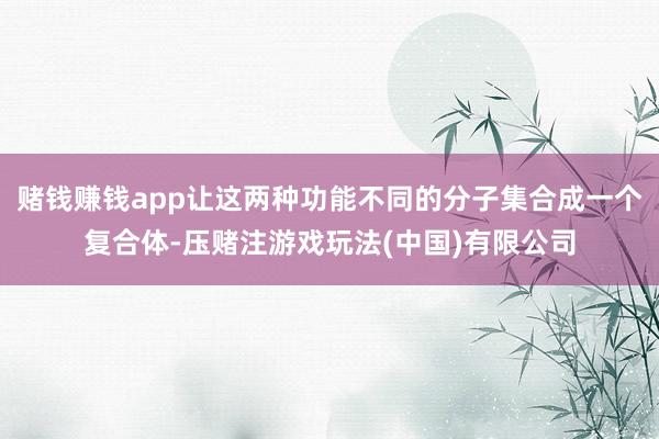 赌钱赚钱app让这两种功能不同的分子集合成一个复合体-压赌注游戏玩法(中国)有限公司