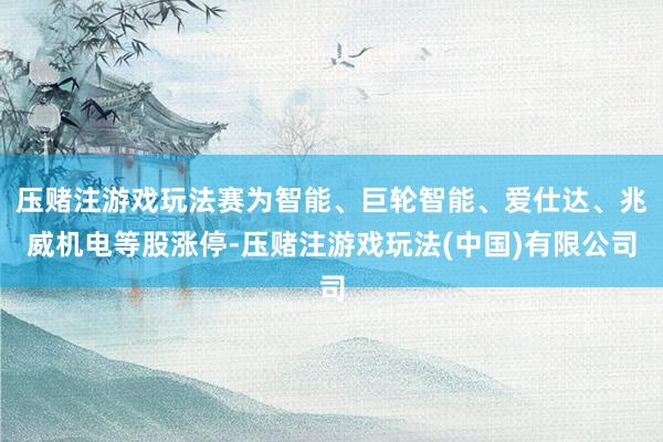 压赌注游戏玩法赛为智能、巨轮智能、爱仕达、兆威机电等股涨停-压赌注游戏玩法(中国)有限公司