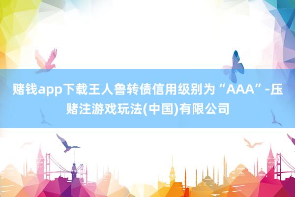 赌钱app下载王人鲁转债信用级别为“AAA”-压赌注游戏玩法(中国)有限公司