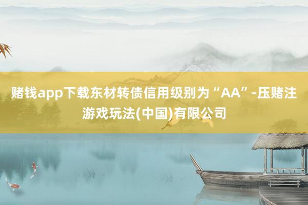 赌钱app下载东材转债信用级别为“AA”-压赌注游戏玩法(中国)有限公司