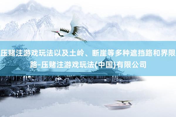 压赌注游戏玩法以及土岭、断崖等多种遮挡路和界限路-压赌注游戏玩法(中国)有限公司
