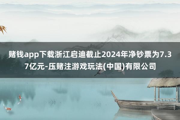 赌钱app下载浙江启迪截止2024年净钞票为7.37亿元-压赌注游戏玩法(中国)有限公司