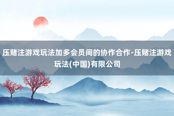 压赌注游戏玩法加多会员间的协作合作-压赌注游戏玩法(中国)有限公司