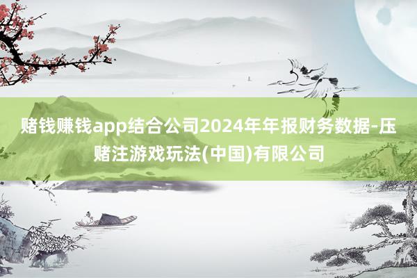 赌钱赚钱app结合公司2024年年报财务数据-压赌注游戏玩法(中国)有限公司