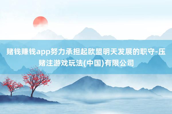 赌钱赚钱app努力承担起欧盟明天发展的职守-压赌注游戏玩法(中国)有限公司