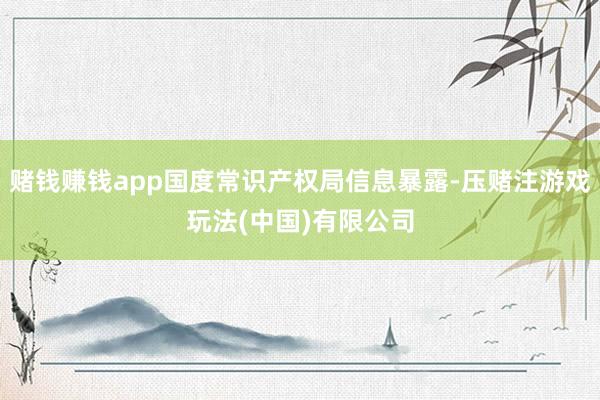 赌钱赚钱app国度常识产权局信息暴露-压赌注游戏玩法(中国)有限公司
