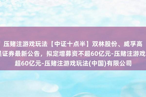 压赌注游戏玩法【中证十点半】双林股份、威孚高科拟赴港上市；东吴证券最新公告，拟定增募资不超60亿元-压赌注游戏玩法(中国)有限公司