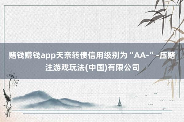 赌钱赚钱app天奈转债信用级别为“AA-”-压赌注游戏玩法(中国)有限公司