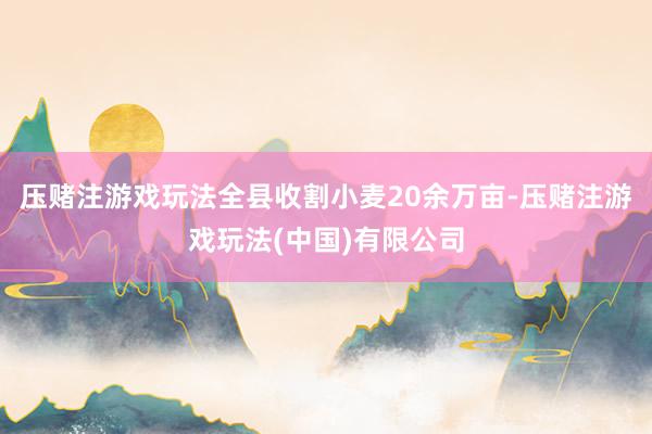 压赌注游戏玩法全县收割小麦20余万亩-压赌注游戏玩法(中国)有限公司