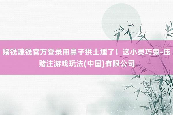 赌钱赚钱官方登录用鼻子拱土埋了！这小灵巧鬼-压赌注游戏玩法(中国)有限公司