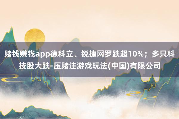 赌钱赚钱app德科立、锐捷网罗跌超10%；多只科技股大跌-压赌注游戏玩法(中国)有限公司