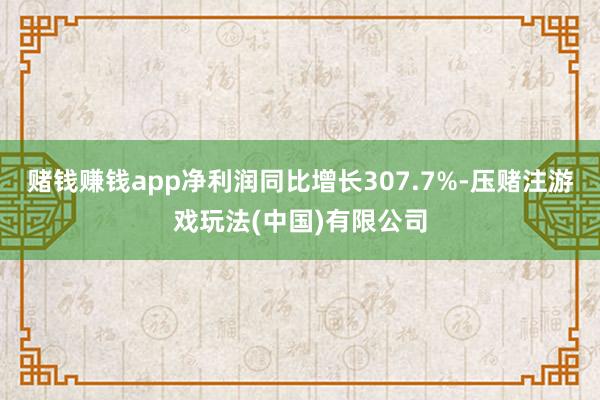 赌钱赚钱app净利润同比增长307.7%-压赌注游戏玩法(中国)有限公司