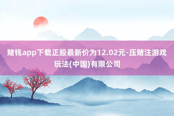 赌钱app下载正股最新价为12.02元-压赌注游戏玩法(中国)有限公司
