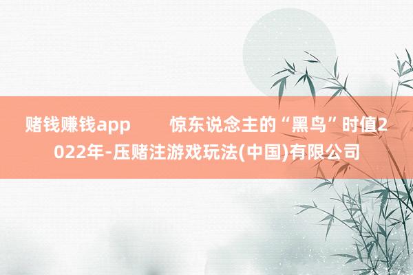 赌钱赚钱app        惊东说念主的“黑鸟”时值2022年-压赌注游戏玩法(中国)有限公司