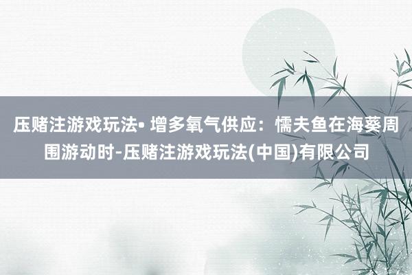 压赌注游戏玩法• 增多氧气供应：懦夫鱼在海葵周围游动时-压赌注游戏玩法(中国)有限公司