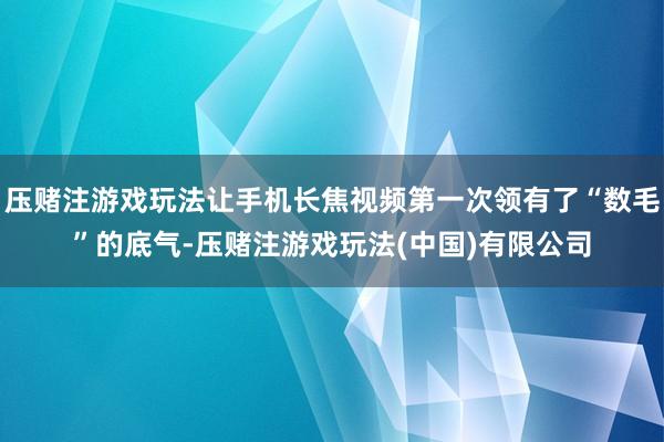 压赌注游戏玩法让手机长焦视频第一次领有了“数毛”的底气-压赌注游戏玩法(中国)有限公司