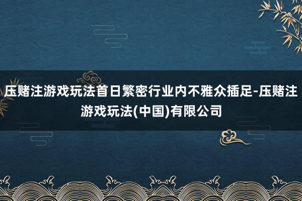 压赌注游戏玩法首日繁密行业内不雅众插足-压赌注游戏玩法(中国)有限公司