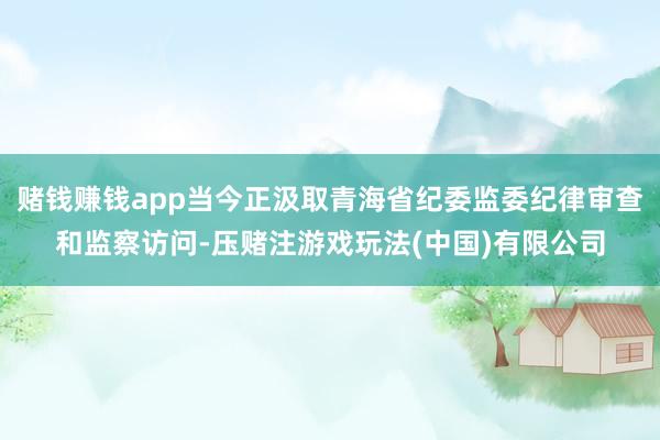 赌钱赚钱app当今正汲取青海省纪委监委纪律审查和监察访问-压赌注游戏玩法(中国)有限公司