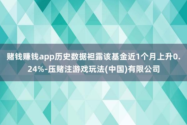赌钱赚钱app历史数据袒露该基金近1个月上升0.24%-压赌注游戏玩法(中国)有限公司
