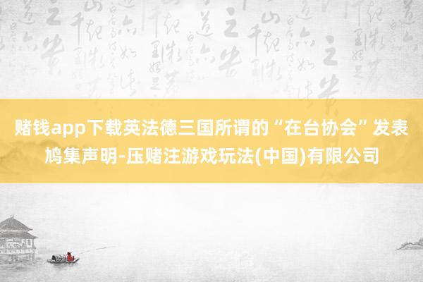赌钱app下载英法德三国所谓的“在台协会”发表鸠集声明-压赌注游戏玩法(中国)有限公司