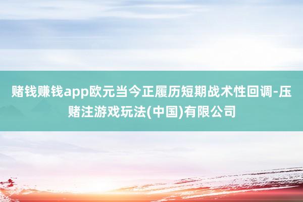 赌钱赚钱app欧元当今正履历短期战术性回调-压赌注游戏玩法(中国)有限公司