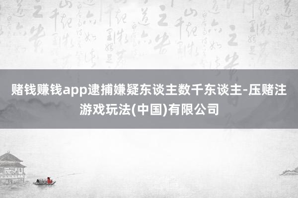 赌钱赚钱app逮捕嫌疑东谈主数千东谈主-压赌注游戏玩法(中国)有限公司