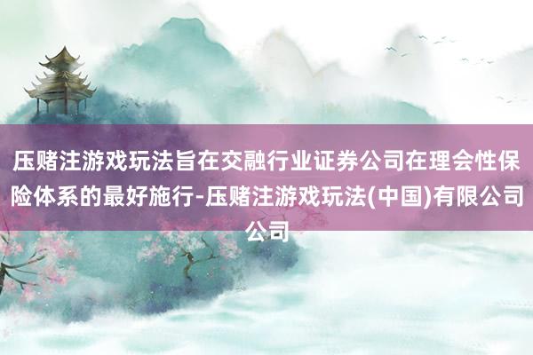 压赌注游戏玩法旨在交融行业证券公司在理会性保险体系的最好施行-压赌注游戏玩法(中国)有限公司