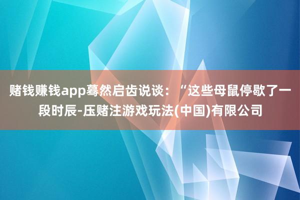 赌钱赚钱app蓦然启齿说谈：“这些母鼠停歇了一段时辰-压赌注游戏玩法(中国)有限公司