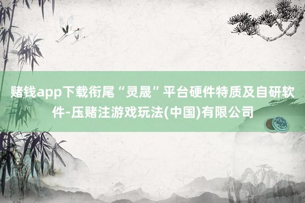 赌钱app下载衔尾“灵晟”平台硬件特质及自研软件-压赌注游戏玩法(中国)有限公司