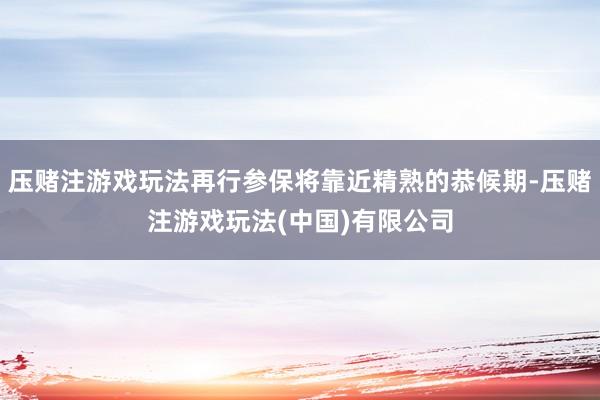 压赌注游戏玩法再行参保将靠近精熟的恭候期-压赌注游戏玩法(中国)有限公司