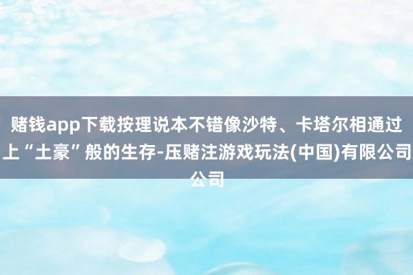 赌钱app下载按理说本不错像沙特、卡塔尔相通过上“土豪”般的生存-压赌注游戏玩法(中国)有限公司