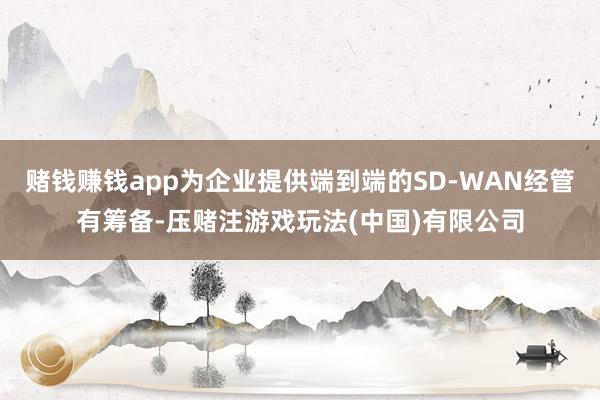 赌钱赚钱app为企业提供端到端的SD-WAN经管有筹备-压赌注游戏玩法(中国)有限公司