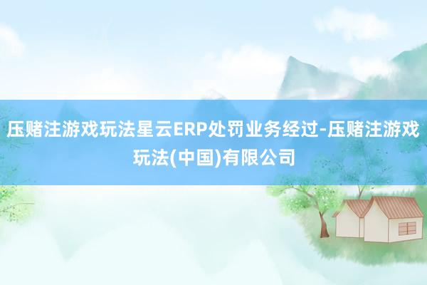 压赌注游戏玩法星云ERP处罚业务经过-压赌注游戏玩法(中国)有限公司