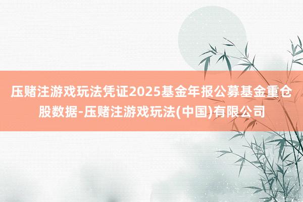 压赌注游戏玩法凭证2025基金年报公募基金重仓股数据-压赌注游戏玩法(中国)有限公司